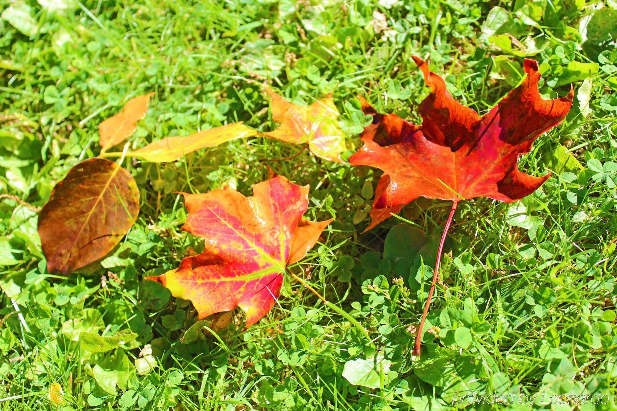 Heart Of The Village Bed & Breakfast In Shelburne Vt Zewnętrze zdjęcie